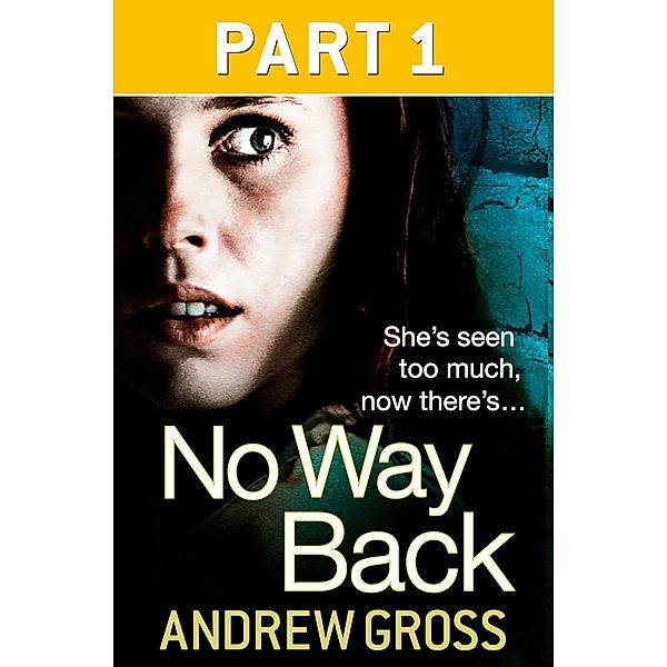 No Way Back: Part 1 of 3, Andrew Gross