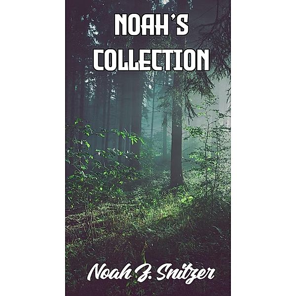 Noah's Collection, Noah Snitzer