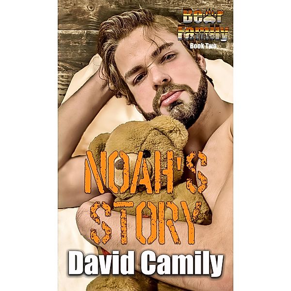 Noah's Story (Bear Family, #2) / Bear Family, David Camily