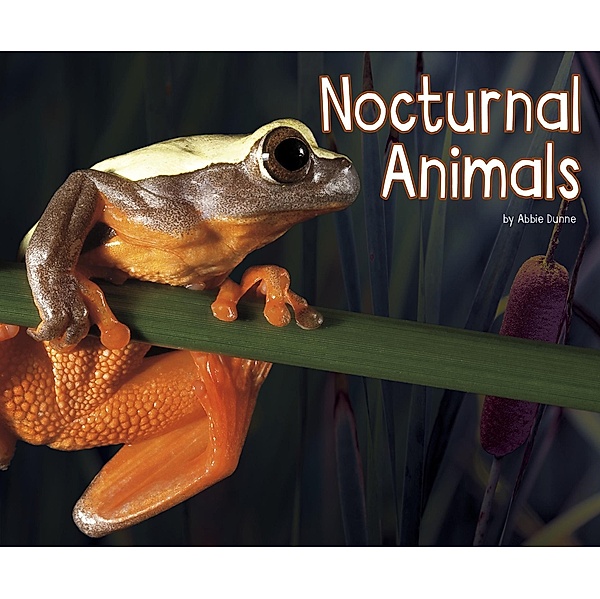 Nocturnal Animals / Raintree Publishers, Abbie Dunne