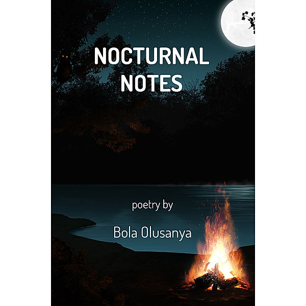 Nocturnal Notes, Bola Olusanya