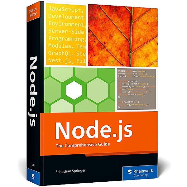 Node.js, Sebastian Springer