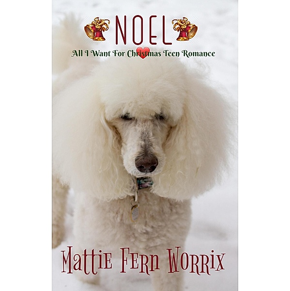 Noel (All I Want For Christmas Teen Romance, #3) / All I Want For Christmas Teen Romance, Mattie Fern Worrix
