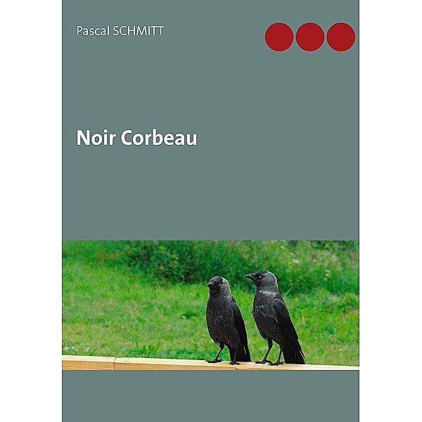 Noir Corbeau, Pascal Schmitt