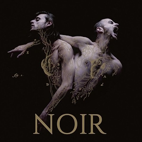 Noir (Vinyl), Heymoonshaker