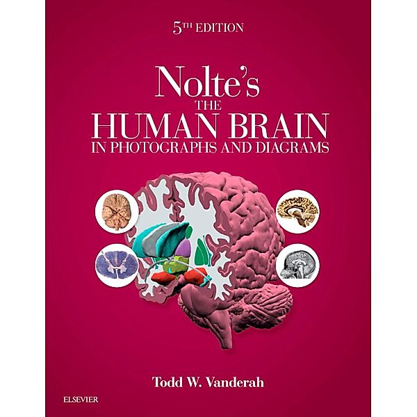 Nolte's The Human Brain in Photographs and Diagrams E-Book, Todd Vanderah