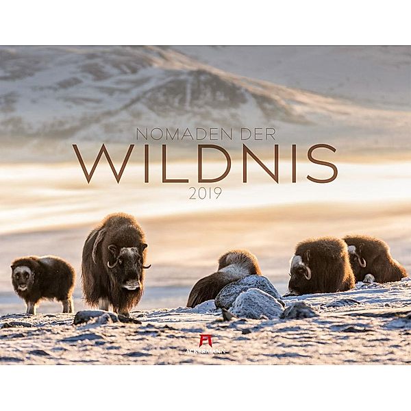 Nomaden der Wildnis 2019