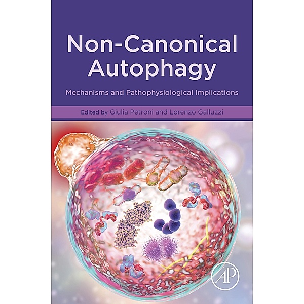 Non-Canonical Autophagy