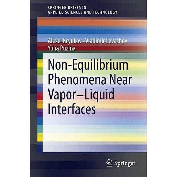Non-Equilibrium Phenomena near Vapor-Liquid Interfaces / SpringerBriefs in Applied Sciences and Technology, Alexei Kryukov, Vladimir Levashov, Puzina Yulia
