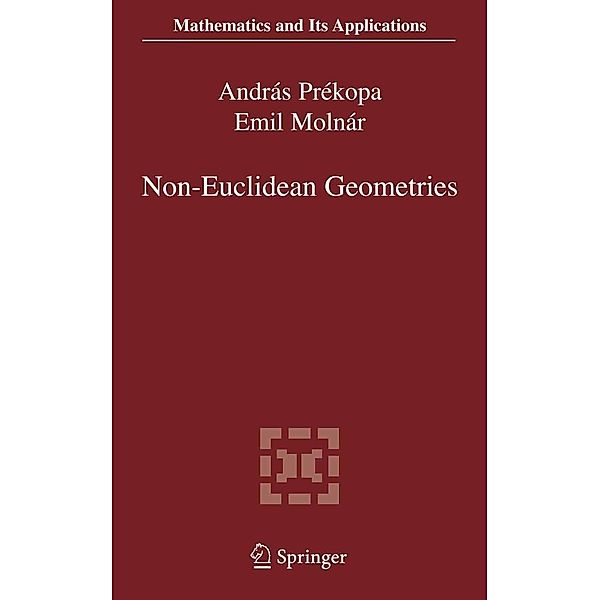 Non-Euclidean Geometries / Mathematics and Its Applications Bd.581