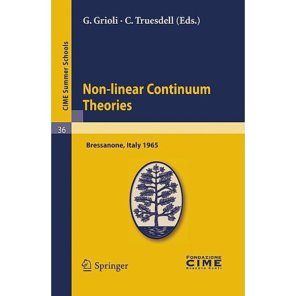 Non-linear Continuum Theories