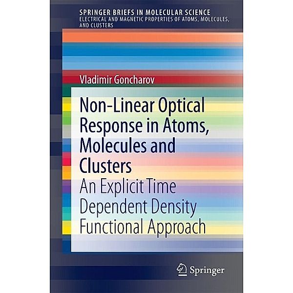 Non-Linear Optical Response in Atoms, Molecules and Clusters / SpringerBriefs in Molecular Science, Vladimir Goncharov