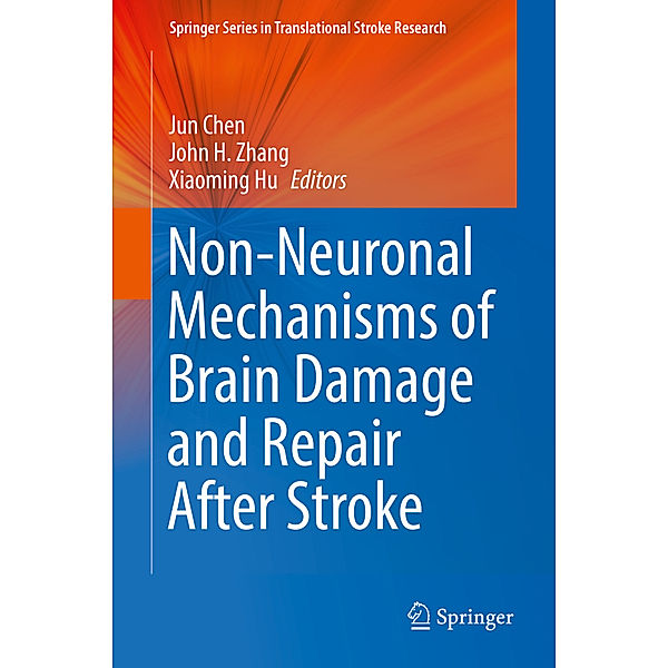 Non-Neuronal Mechanisms of Brain Damage and Repair After Stroke