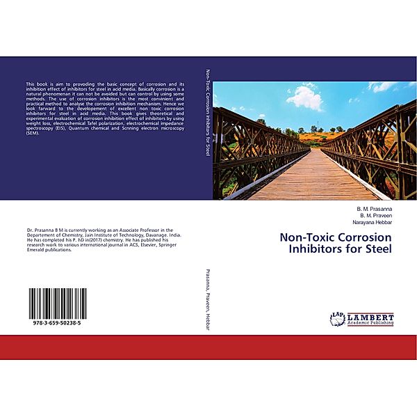 Non-Toxic Corrosion Inhibitors for Steel, B. M. Prasanna, B. M. Praveen, Narayana Hebbar