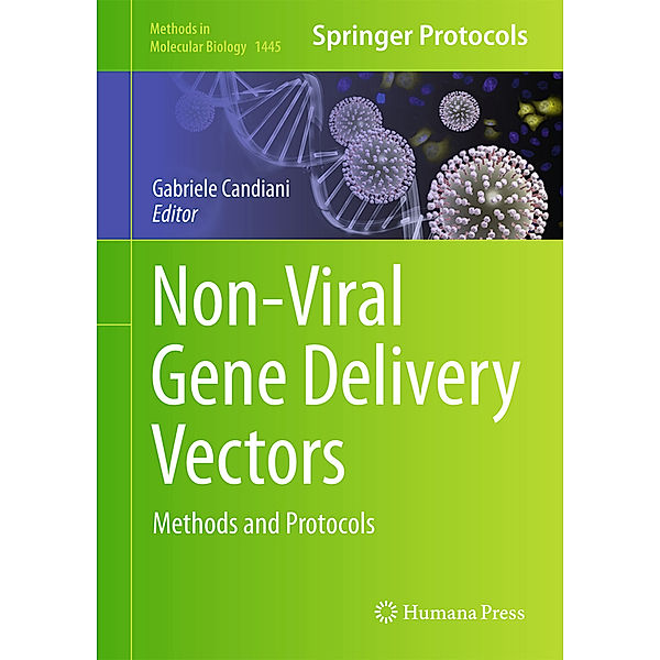 Non-Viral Gene Delivery Vectors