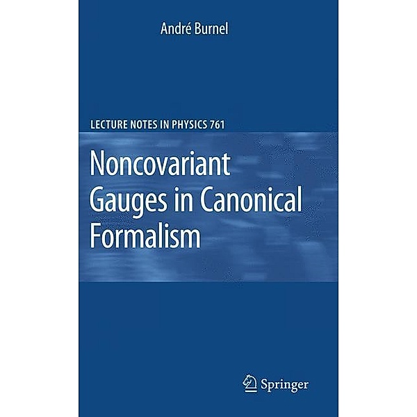 Noncovariant Gauges in Canonical Formalism, André Burnel