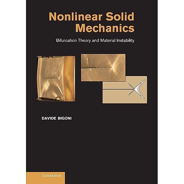 Nonlinear Solid Mechanics, Davide Bigoni