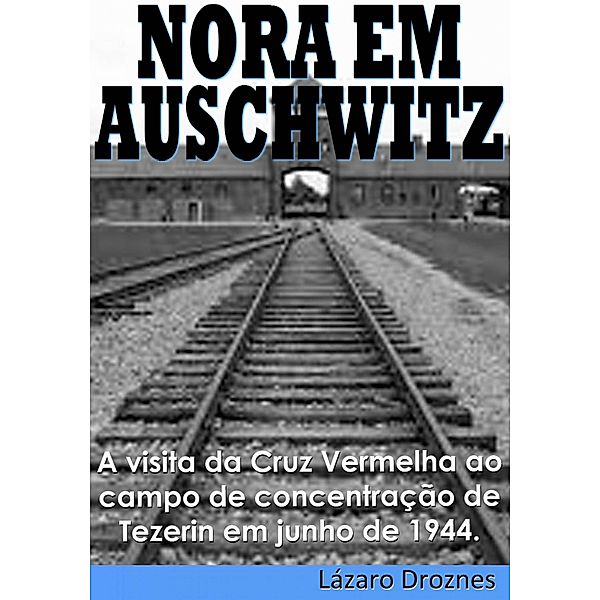 Nora Em Auschwitz, Lázaro Droznes