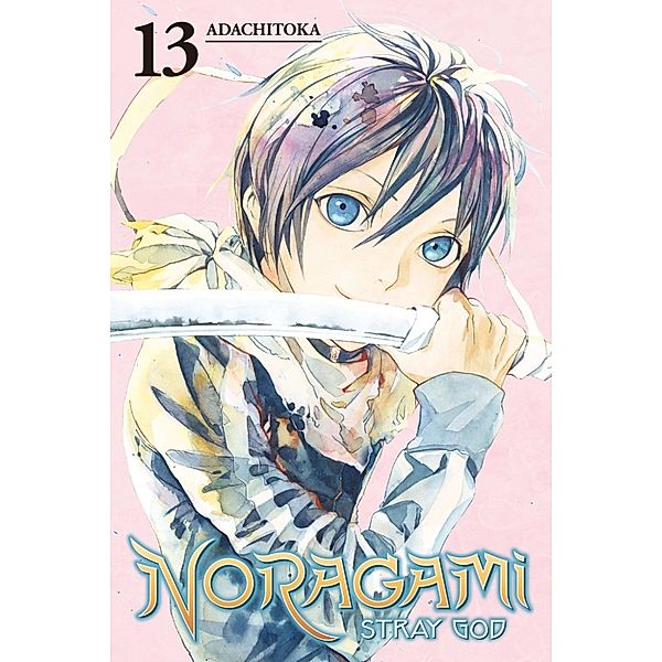 Noragami: Stray God 13, Adachitoka