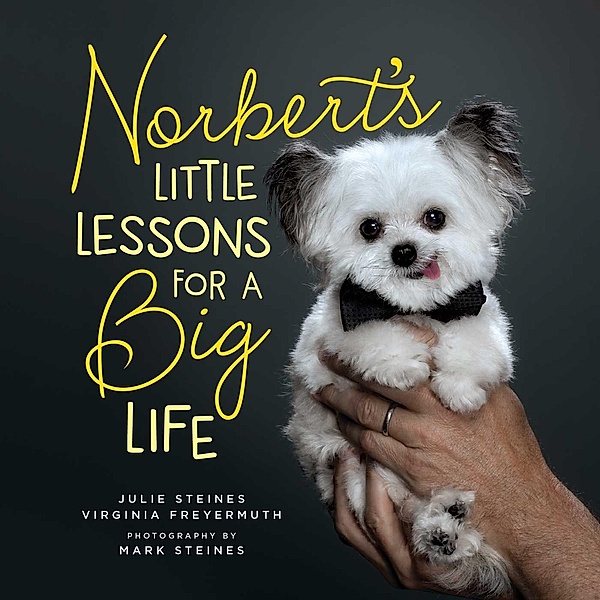 Norbert's Little Lessons for a Big Life, Julie Steines, Virginia Freyermuth