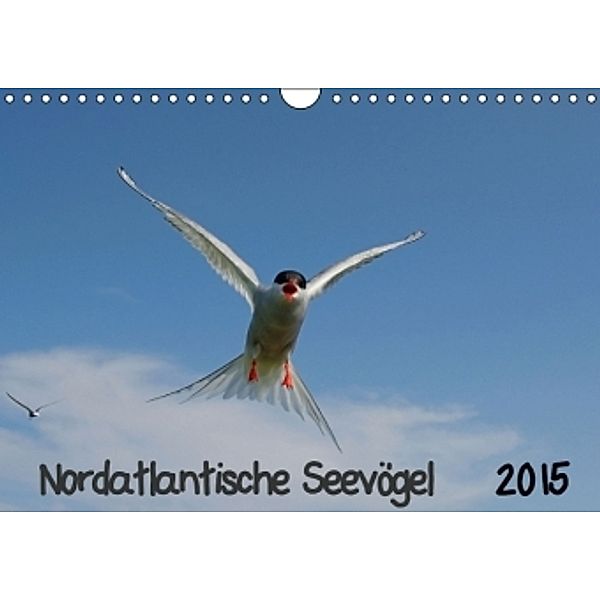 Nordatlantische Seevögel (Wandkalender 2015 DIN A4 quer), Gerald Wolf