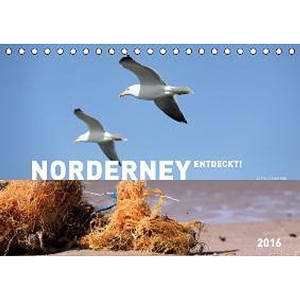 NORDERNEY ENTDECKT! 2016 (Tischkalender 2016 DIN A5 quer), Stefanie Schweers