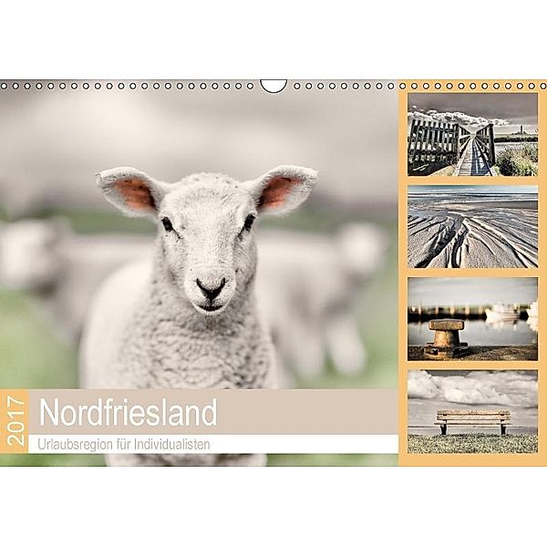 Nordfriesland - Urlaubsregion für Individualisten (Wandkalender 2017 DIN A3 quer), Rob Cale