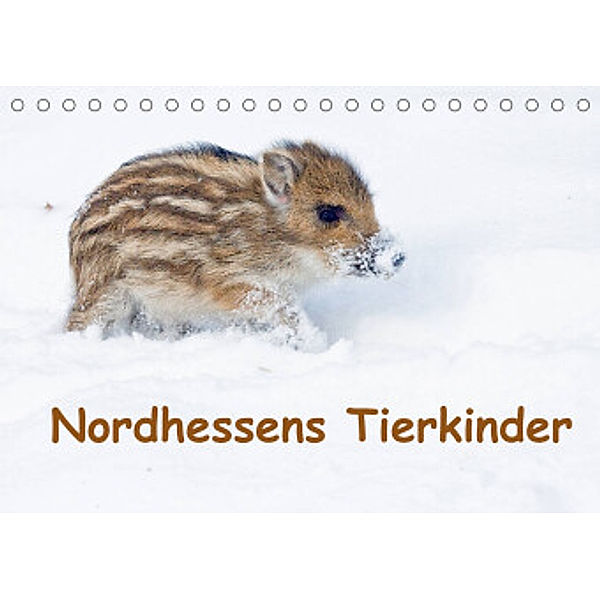 Nordhessens Tierkinder (Tischkalender 2022 DIN A5 quer), Wilfried Martin