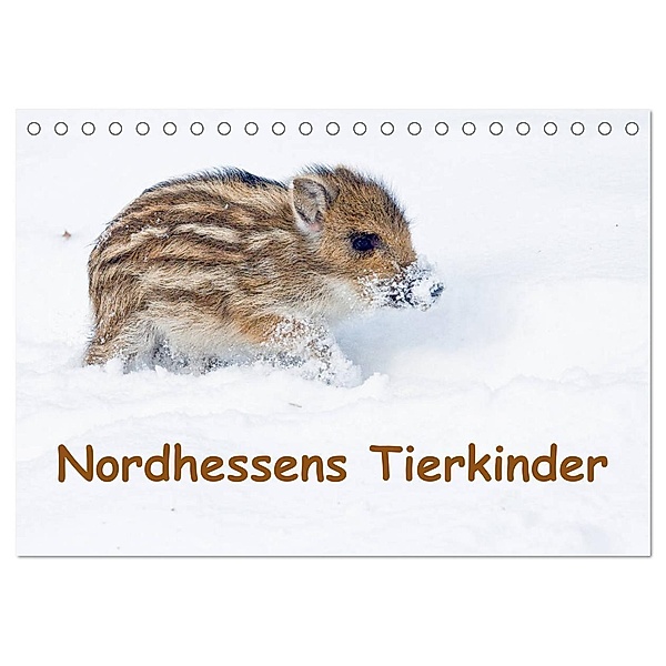 Nordhessens Tierkinder (Tischkalender 2024 DIN A5 quer), CALVENDO Monatskalender, Wilfried Martin