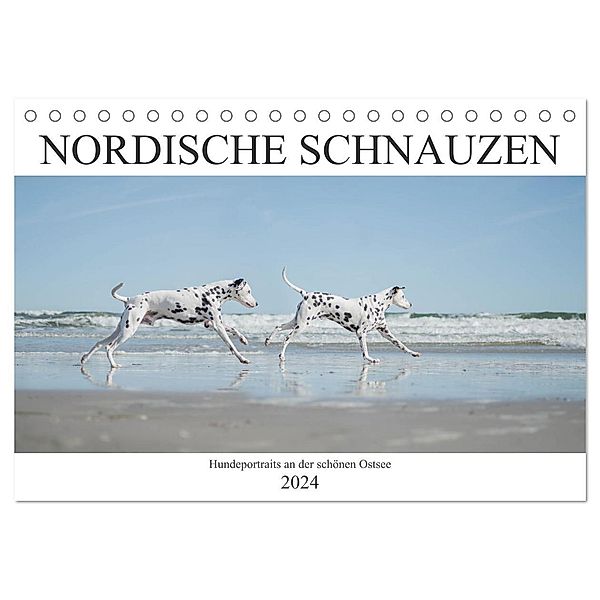 Nordische Schnauzen (Tischkalender 2024 DIN A5 quer), CALVENDO Monatskalender, Janice Pohle-Michel