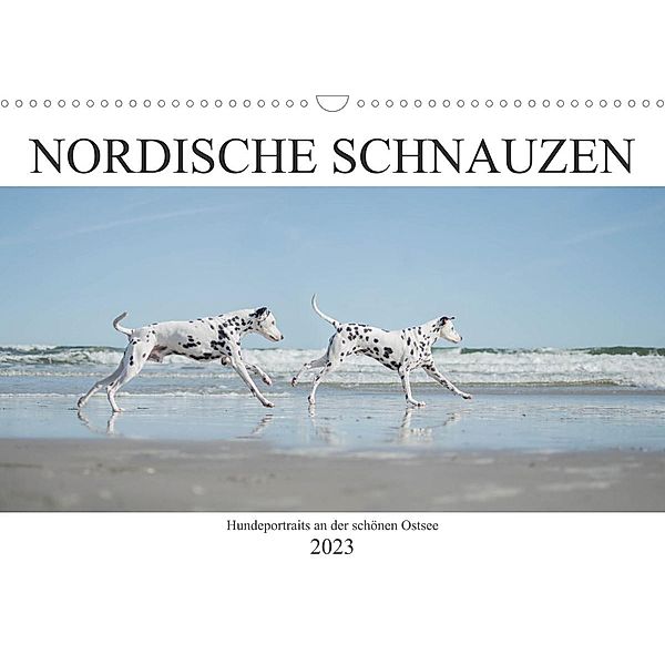 Nordische Schnauzen (Wandkalender 2023 DIN A3 quer), Janice Pohle-Michel