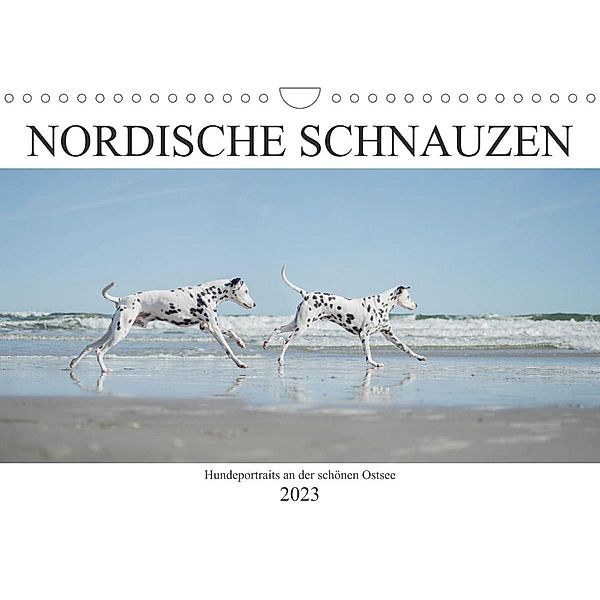 Nordische Schnauzen (Wandkalender 2023 DIN A4 quer), Janice Pohle-Michel