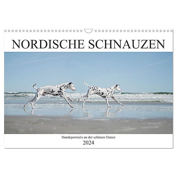 Nordische Schnauzen (Wandkalender 2024 DIN A3 quer), CALVENDO Monatskalender, Janice Pohle-Michel