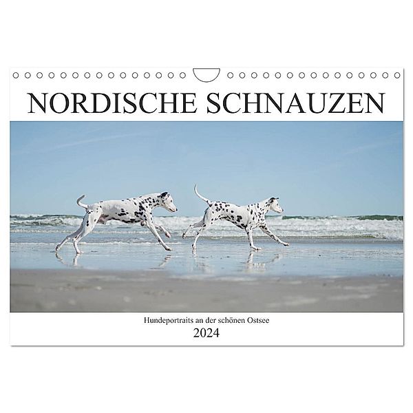 Nordische Schnauzen (Wandkalender 2024 DIN A4 quer), CALVENDO Monatskalender, Janice Pohle-Michel