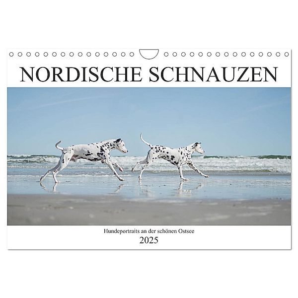 Nordische Schnauzen (Wandkalender 2025 DIN A4 quer), CALVENDO Monatskalender, Calvendo, Janice Pohle-Michel