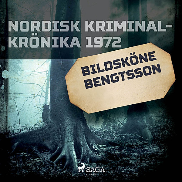 Nordisk kriminalkrönika 70-talet - Bildsköne Bengtsson