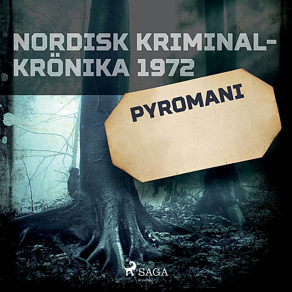 Nordisk kriminalkrönika 70-talet - Pyromani