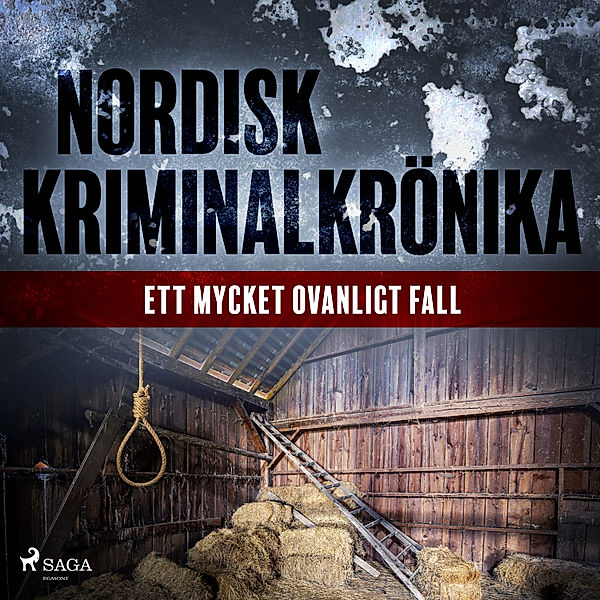 Nordisk kriminalkrönika 90-talet - Ett mycket ovanligt fall