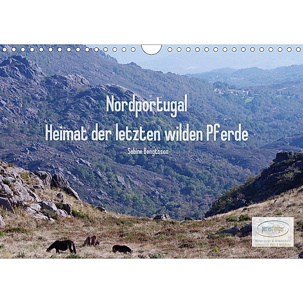 Nordportugal - Heimat der letzten wilden Pferde (Wandkalender 2020 DIN A4 quer), Sabine Bengtsson
