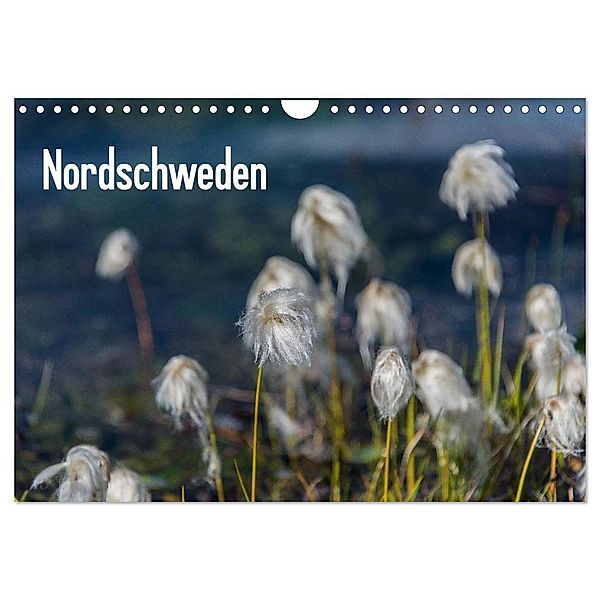 Nordschweden (Wandkalender 2024 DIN A4 quer), CALVENDO Monatskalender, Geertje Jacob