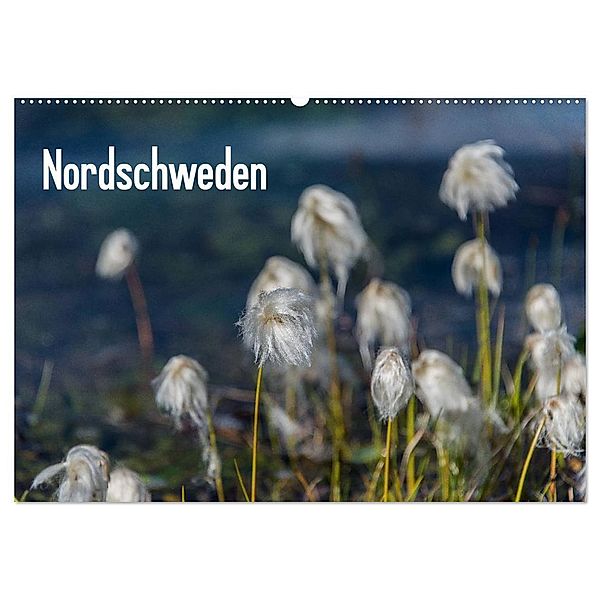 Nordschweden (Wandkalender 2025 DIN A2 quer), CALVENDO Monatskalender, Calvendo, Geertje Jacob