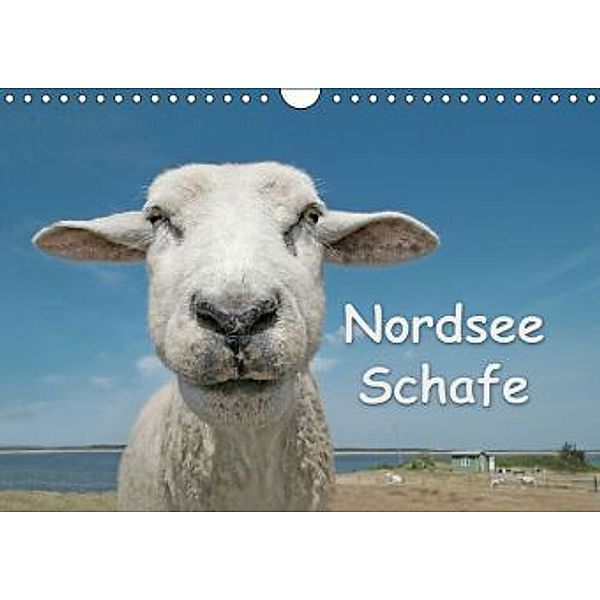 Nordsee Schafe (Wandkalender 2015 DIN A4 quer), Andrea Wilken