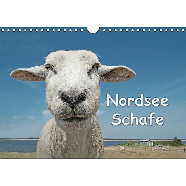 Nordsee Schafe (Wandkalender 2018 DIN A4 quer), Andrea Wilken