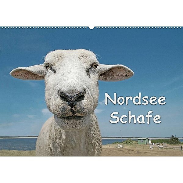 Nordsee Schafe (Wandkalender 2023 DIN A2 quer), Andrea Wilken