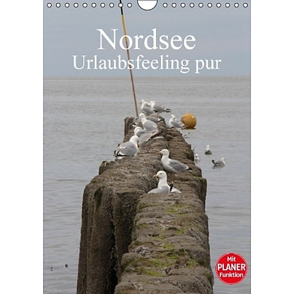 Nordsee / Urlaubsfeeling pur / Familienplaner (Wandkalender 2016 DIN A4 hoch), Andrea Potratz