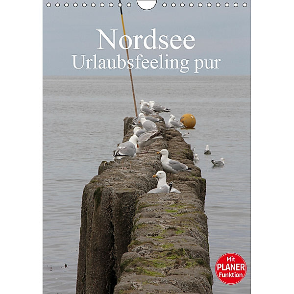 Nordsee / Urlaubsfeeling pur / Familienplaner (Wandkalender 2019 DIN A4 hoch), Andrea Potratz