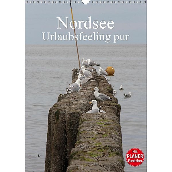 Nordsee / Urlaubsfeeling pur / Familienplaner (Wandkalender 2020 DIN A3 hoch), Andrea Potratz