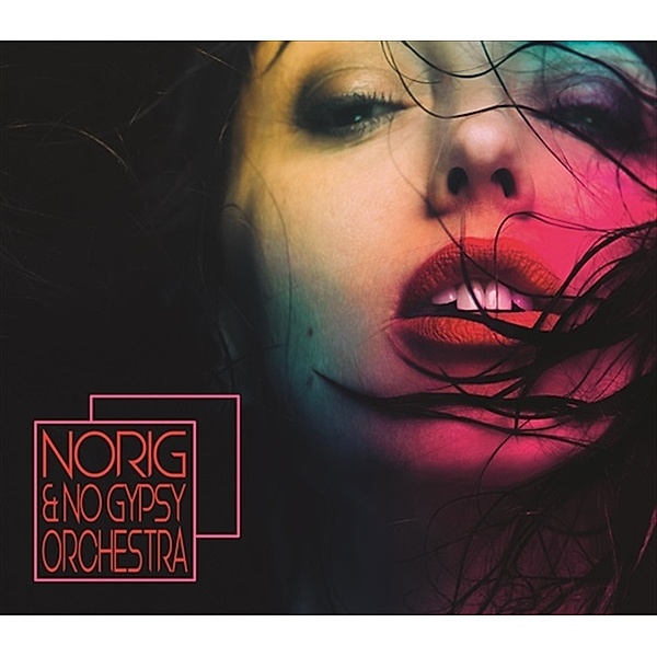 Norig & No Gypsy Orchestra, Norig