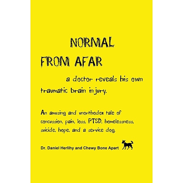 Normal from Afar, a Doctor Reveals His Own Traumatic Brain Injury, Daniel Herlihy