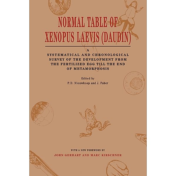 Normal Table of Xenopus Laevis (Daudin)